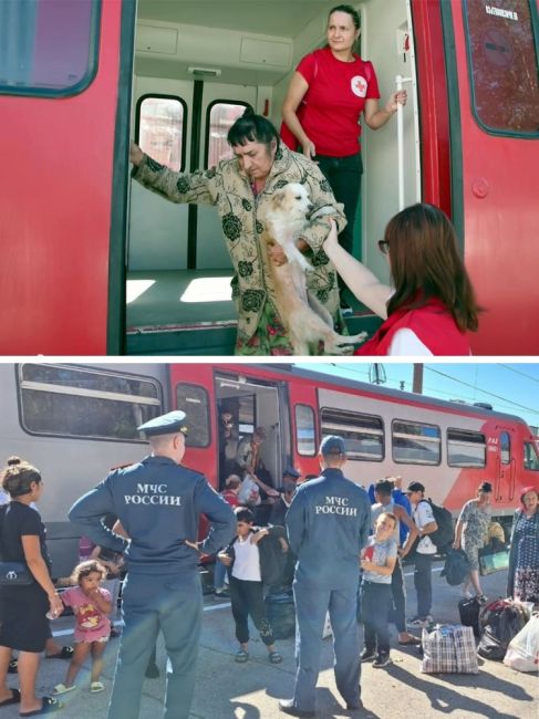 Беженцев из Курской области хотят отправить в Запорожье  В приграничных районах РФ, где уже неделю идут..