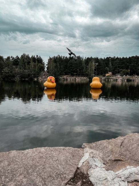 Прогулка в последние дни прохладного лета по парку "Радуги"⛅️  За фото спасибо нашему..