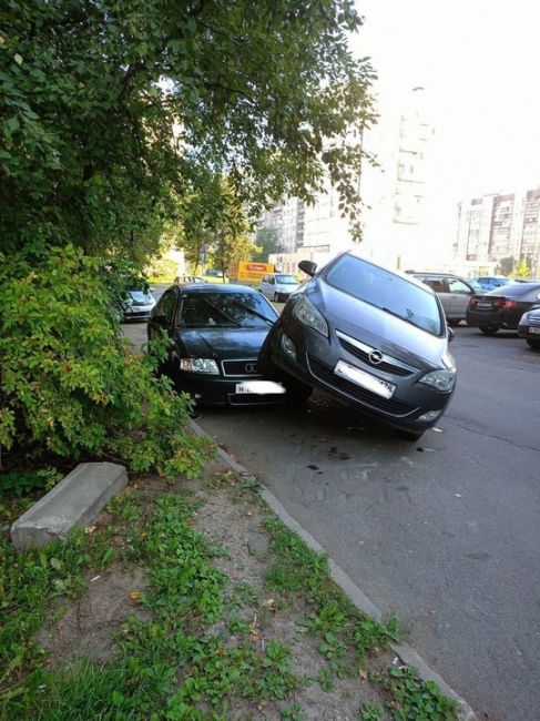 На Подвойского 17к1 замечена странная..