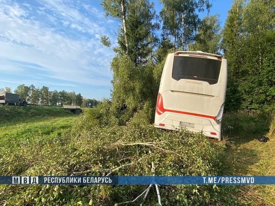 Разбился автобус, следовавший из Москвы в Брест.  Транспорт влетел в придорожные деревья в Белоруссии, когда..