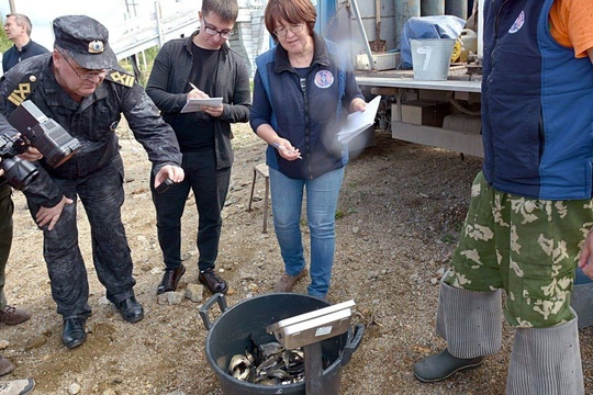 🐟 В озеро Кременкуль под Челябинском выпустили сазанов благодаря пожертвованиям рыбаков и производителей..