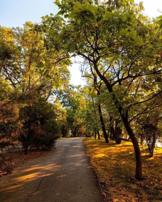 Городской сад 🥰 доброго утра,..