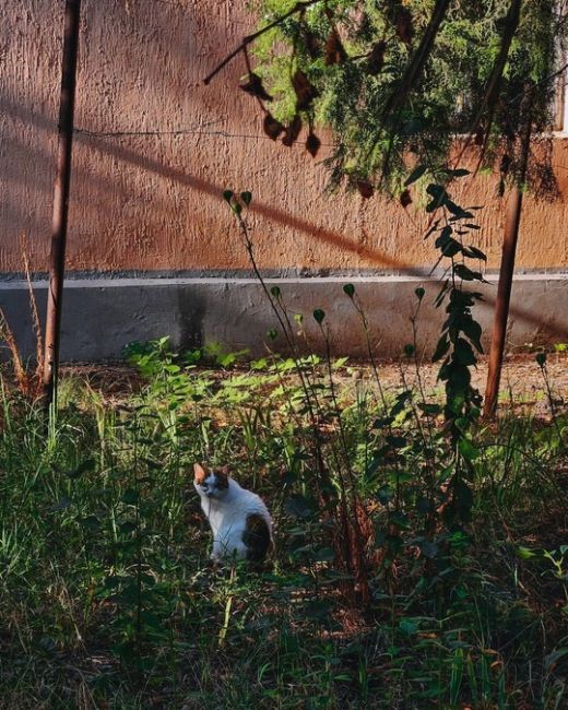 Август прощается красиво - любимый город постепенно остывает от летней жары.  Готовится к осени.  Фото: Аня..