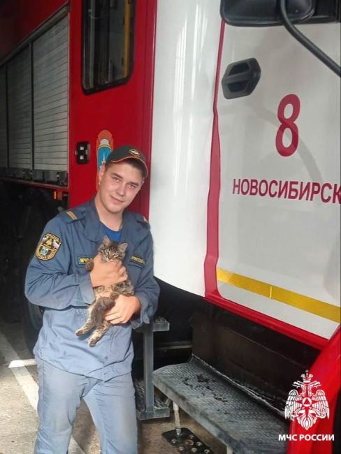 🐾 Пожарный мурлыка  В честь Всемирного дня кошек новосибирские сотрудники МЧС рассказали о своём пушистом..