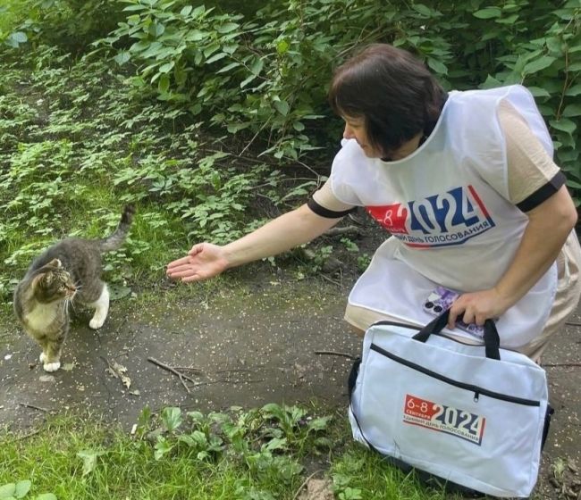 На губернаторских выборах разрешат голосовать в зоне СВО  Горизбирком решил открыть экстерриториальные..