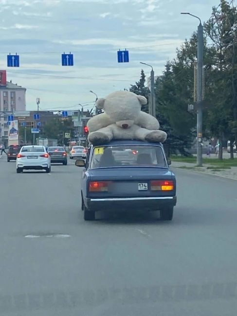 Фото дня. Суровые челябинцы: для любимой — хоть медведя на крышу!..