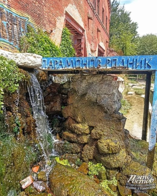 🌳 Парамоновские склады, июль..