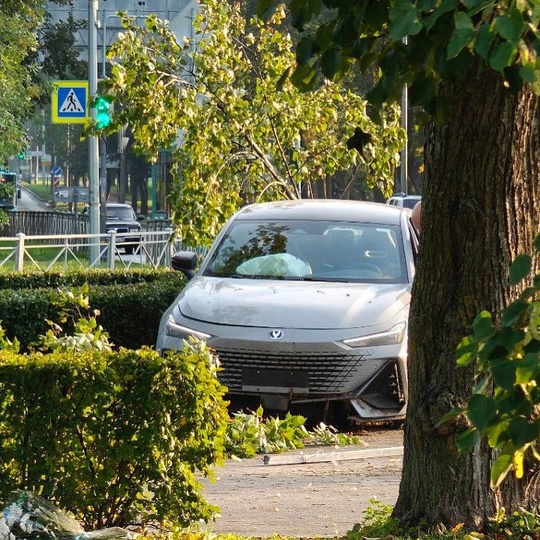 В Красном Селе каршеринг шел на взлет, но гравитация оказалась..