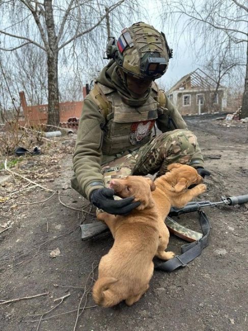 Эти кадры доказывают, что на СВО есть не только слезы и страх в глазах врагов, но, и человечность и сила духа..