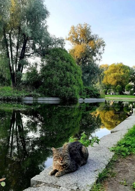 🐈 Мурчащий сад 
В Юсуповском саду обитает очень много котиков. Местные рыбаки кормят их выловленной свежей..