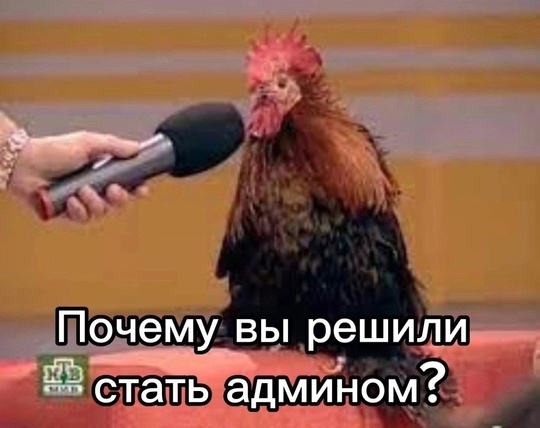 Александр Беглов официально вступил в должность губернатора Петербурга  Церемония инаугурации прошла в..