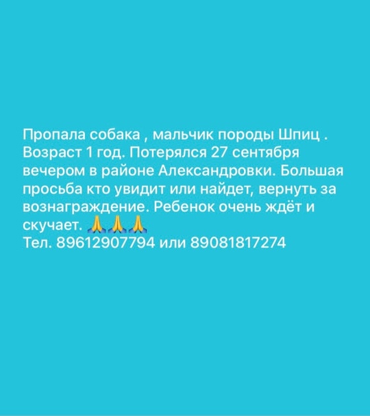 🥴Очень бдительный мужик попытался задержать женщину, которая в потёмках искала закладку под его окнами, но..