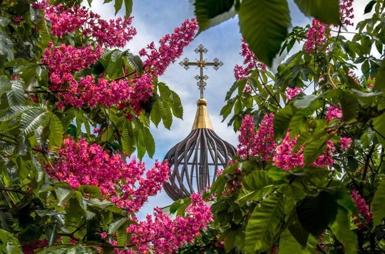 Пост любви к Новороссийску. Сегодня там отмечают День города!  фото..