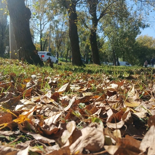 Бабье лето пробудет в Свердловской области всю неделю🍂  По прогнозам метеоролога Алексея Пулина, в начале..