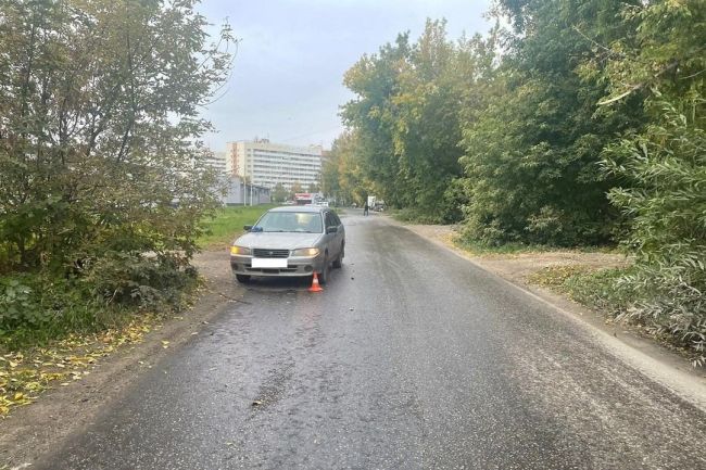 В Новосибирске пенсионерка, управлявшая автомобилем «Ниссан», наехала на семилетнего ребенка  - 23 сентября..