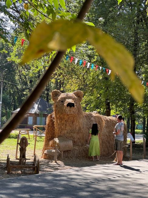 Что-то на соломенном в автозаводском парке..