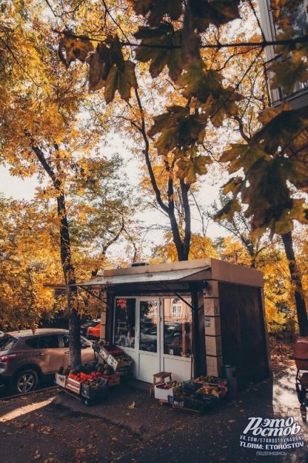 Скоро в Ростове 🍂  Фото: Артём..