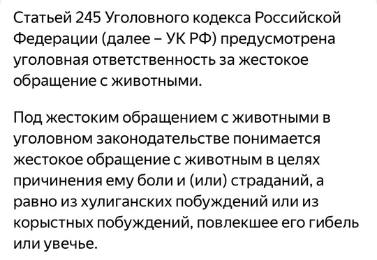 😳Бьет собак в зоосалоне в ЮМР.  «Прошу обратить внимание! Стрижет в нашем ЖК на Лучко, 12 в зоосалоне. Бьет..