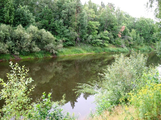 Река Керженец в дремучих Керженских..