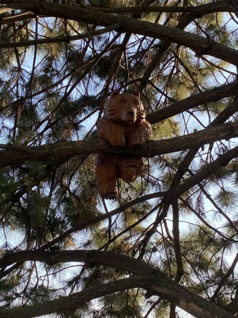 На набережной поселились мишки 😍🐻  За фото спасибо нашей..