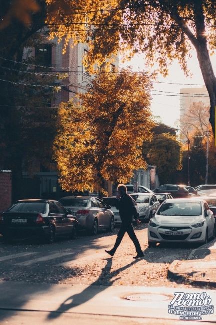 Скоро в Ростове 🍂  Фото: Артём..