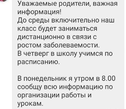 В Самарской области школьников переводят на дистанционное обучение  Но это коснулось далеко не всех  В..