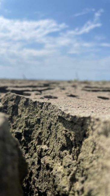 ☀️Засохшее на фоне жары краснодарское водохранилище - нормальное природное явление, которое зависит от..