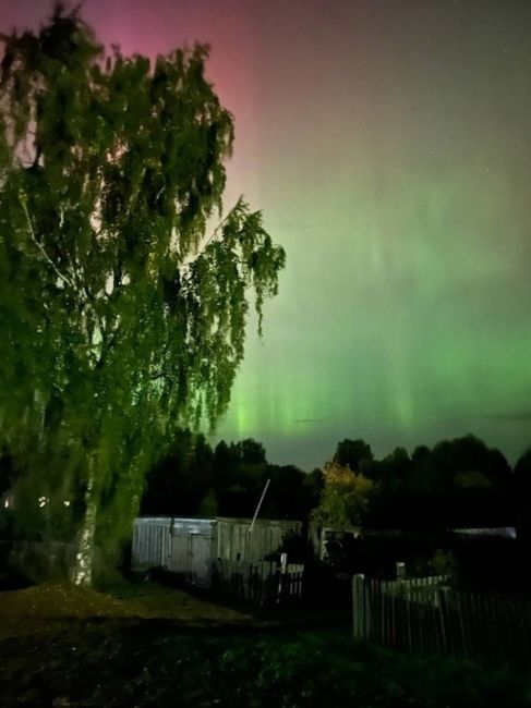 💙ещё немного кадров северного сияния в небе над Нижегородской областью  кто тоже..