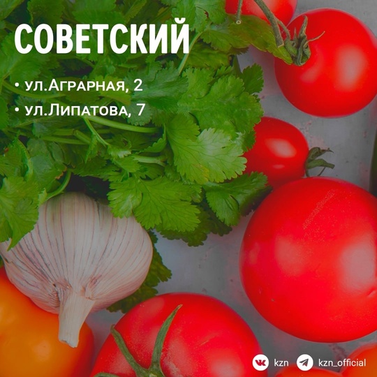 🍎 С сегодняшнего дня и по 29 декабря в Казани еженедельно будут работать сельхоз ярмарки. Торговля будет..