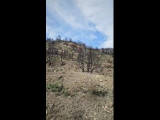 🌋Ужасающие кадры по дороге на малый Утриш, где этим летом несколько дней был сильнейший пожар,- на..