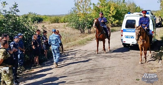 🔌 Донских казаков привлекли к охране ЛЭП от украинских диверсантов.  Маршрут патрулирования от Миллерово..