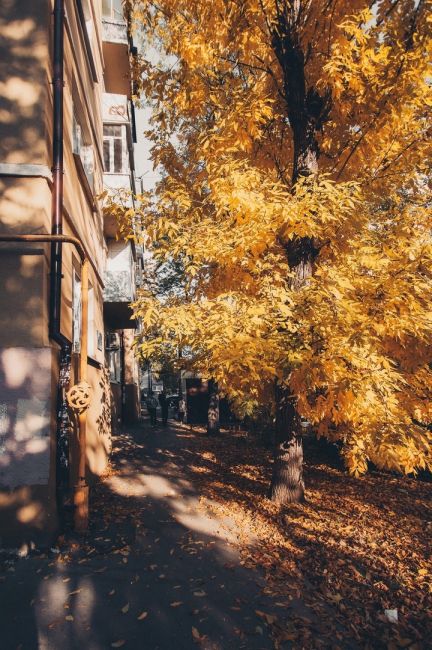 Уютная ростовская осень 🍂🍁  Фото: Артём..