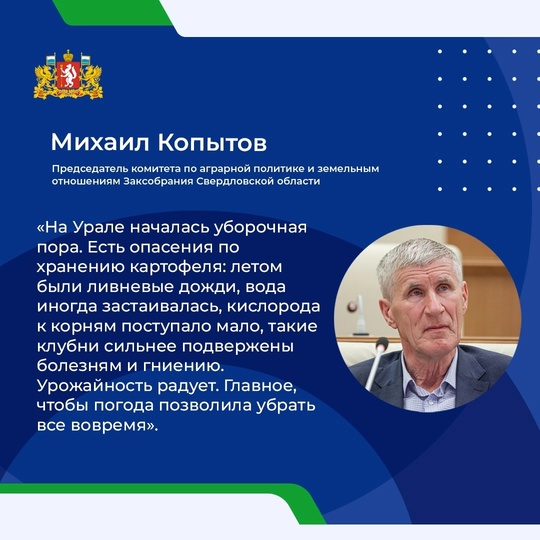 Почти 99.9% свердловчан хоть раз в жизни сажали или капали картошку. Для многих это травма детства, и картошку..