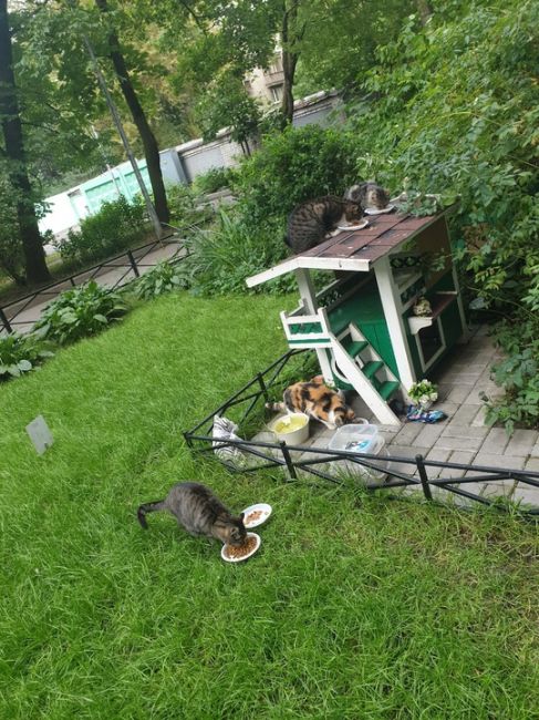 В Приморском районе двор ЖК бизнес-класса украсили дарами осени. Могут себе..