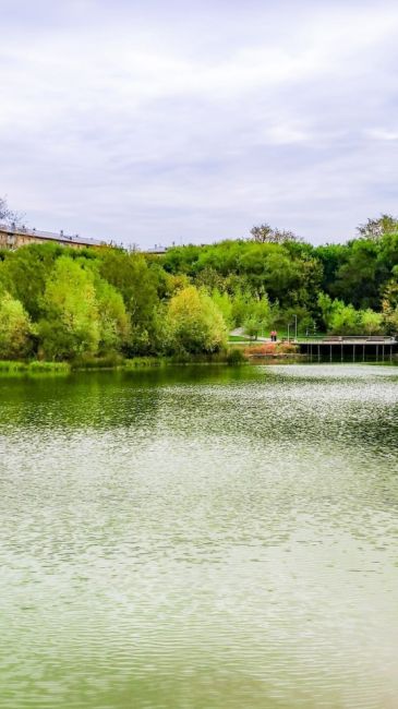 🍂Осенние акценты в парке Удальцовские..