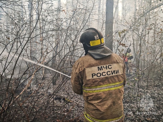 В Самарской области объявили режим ЧС  Огонь уже уничтожил 150 гектаров леса  По данным на 22:50 воскресенья, 29..