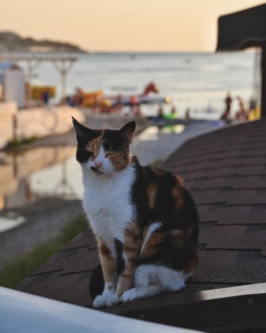 Бархатный (или еще не очень😁) сезон в Кабардинке 🌅  Фото..