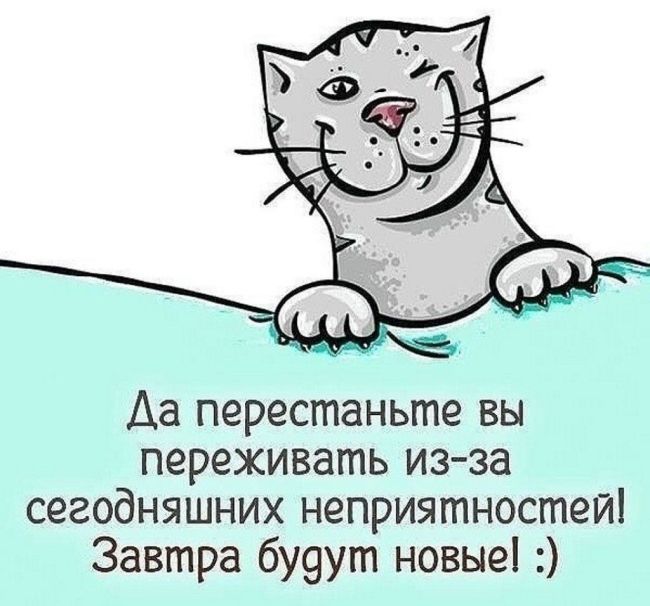 🗣️ В центре Нижнего транспортный коллапс — пешком будет быстрее  Пробки в городе достигли 8 баллов. Самая..