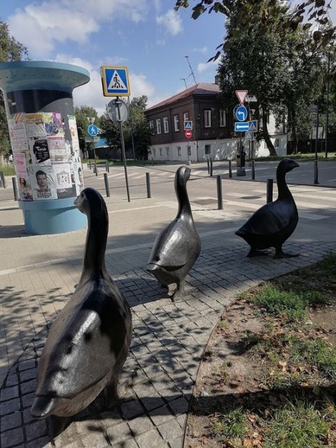 Доброе утро💛  фото: Людмила..