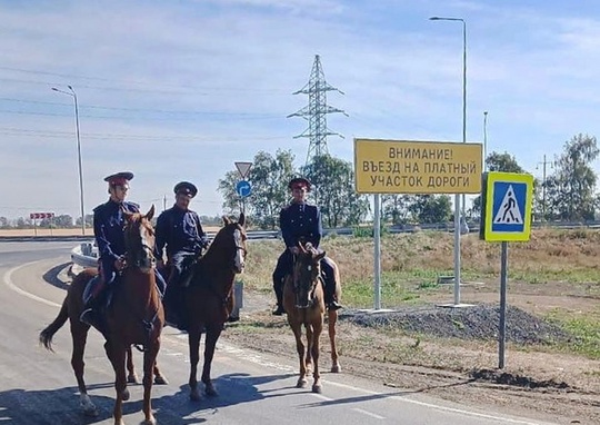 Донских казаков привлекли к защите линий электропередач от украинских диверсантов.  Казаки Миллеровского..