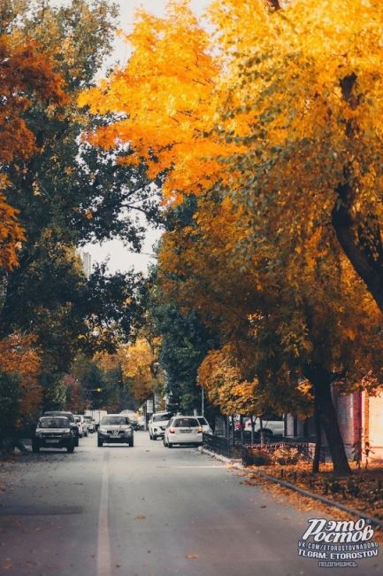 Скоро в Ростове 🍂  Фото: Артём..