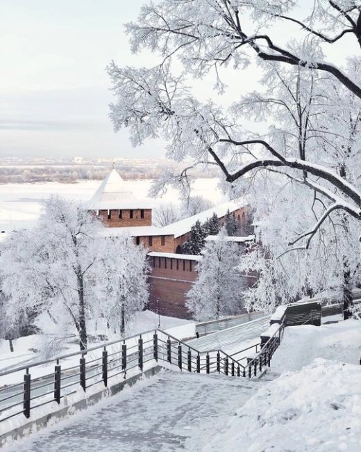 ❄ Стало известно, когда в Нижнем выпадет первый снег! 
Если верить синоптикам, это случится 16 октября. Вы..