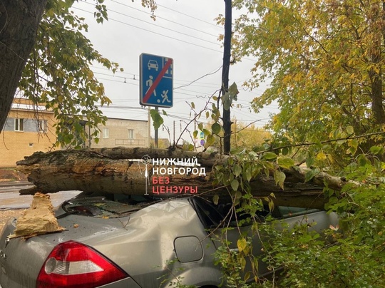 🗣️вот ещё последствия вчерашнего..