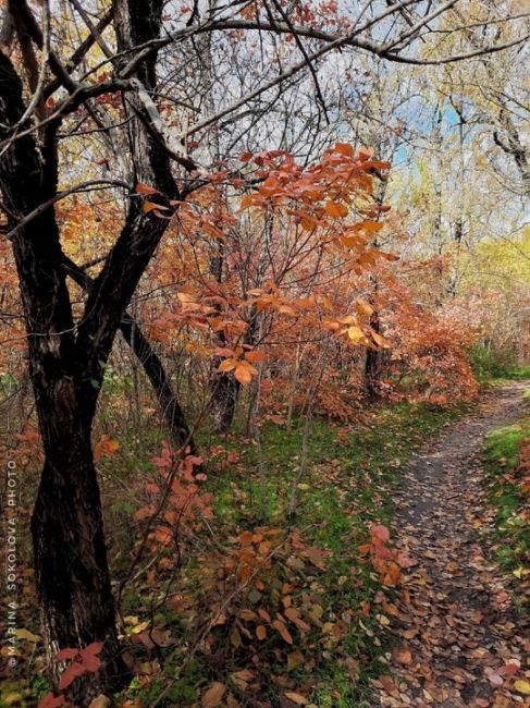 🍂Совсем..