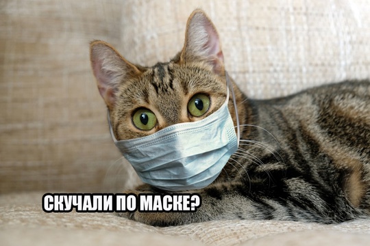 😷 Ну что ж, маски снова в тренде: Челябинск вводит масочный режим из-за пневмонии!  В Челябинске вводится..