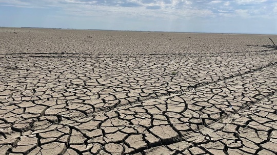 ☀️Засохшее на фоне жары краснодарское водохранилище - нормальное природное явление, которое зависит от..