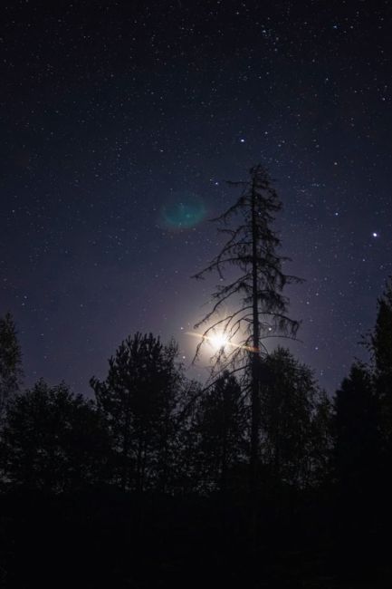 💙Отсветы полярного сияния на реке Узола 
Фото: Ян..