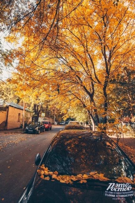 Скоро в Ростове 🍂  Фото: Артём..