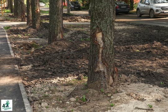 📝🌳🚜 
Благоустройство в сквере им. Рязанова на улице Шимборского идет по программе "Формирование..