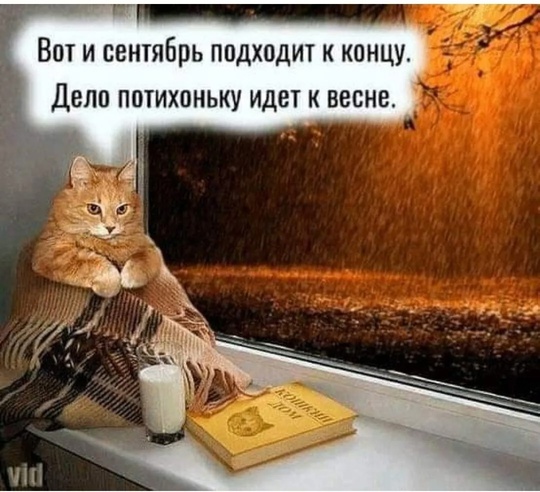 🗣️ Кажется, осени в этом году не будет — наступившая неделя будет теплой и по большей части сухой  С..